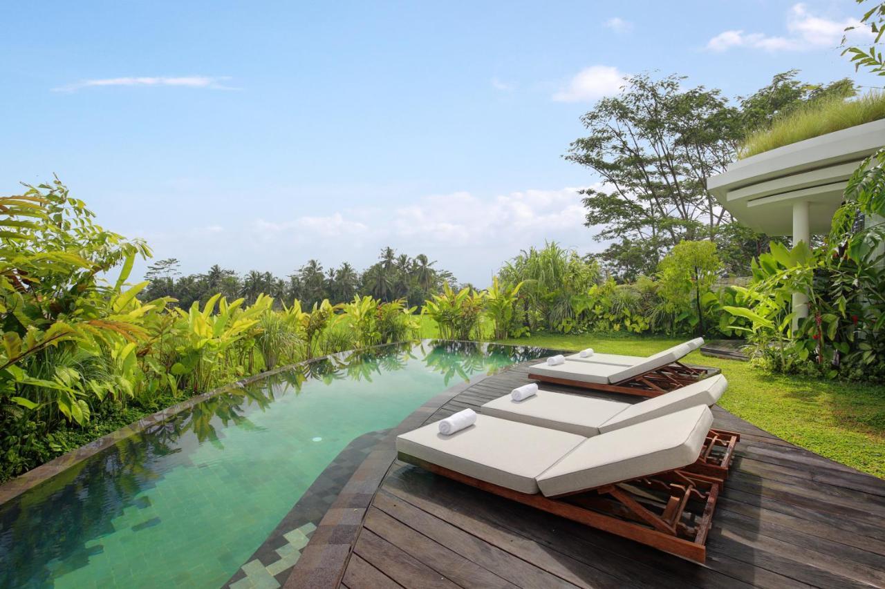 Mango Ubud